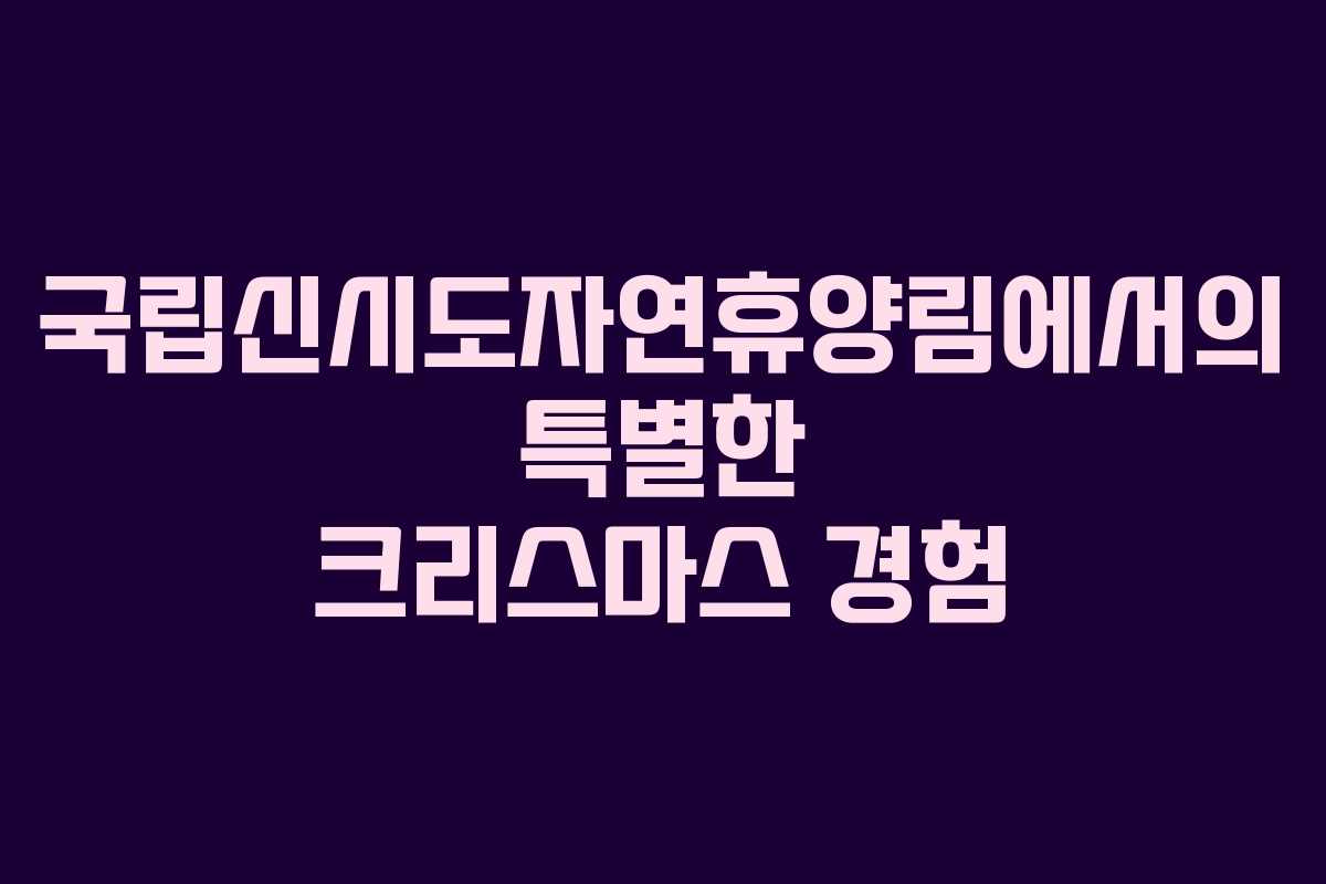국립신시도자연휴양림에서의 특별한 크리스마스 경험