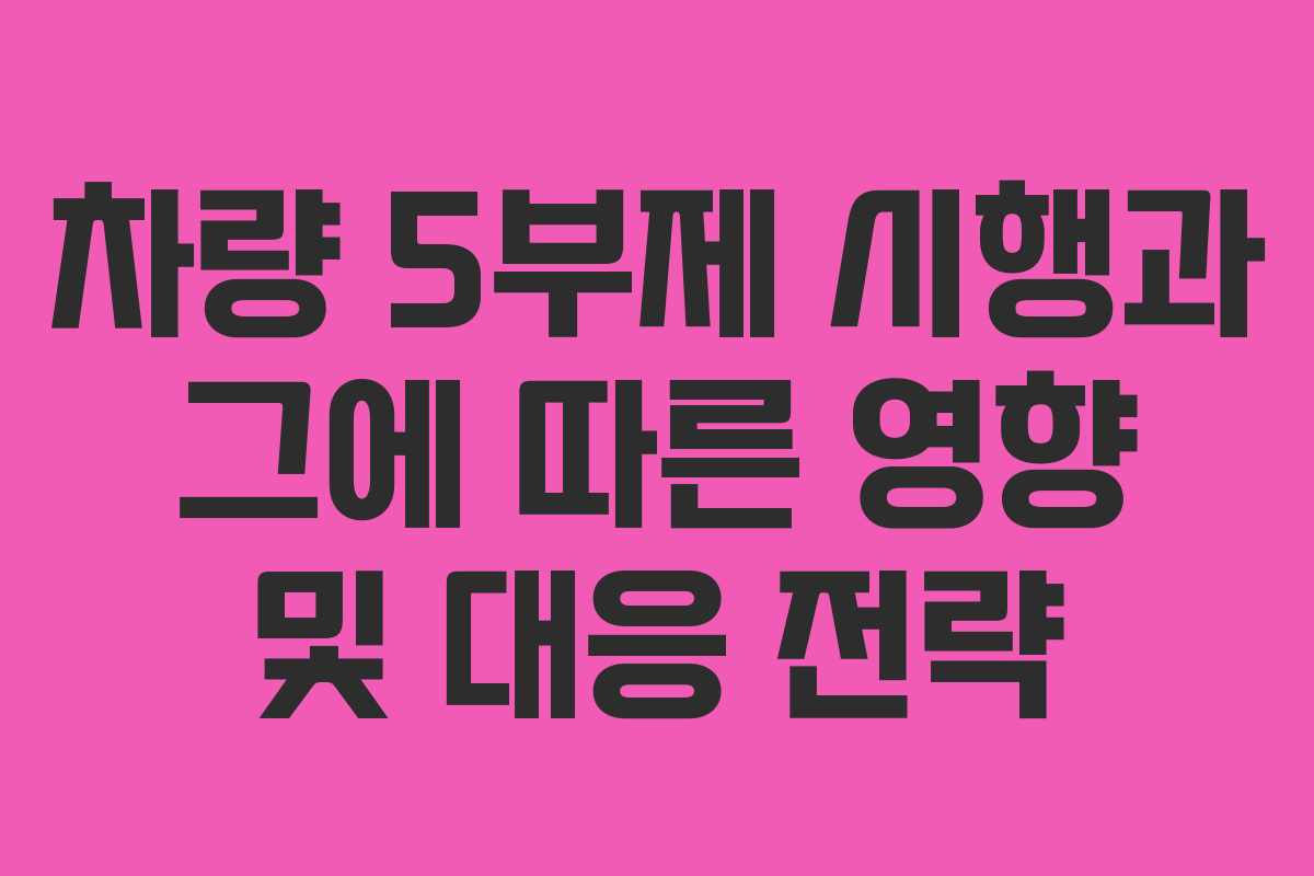 차량 5부제 시행과 그에 따른 영향 및 대응 전략