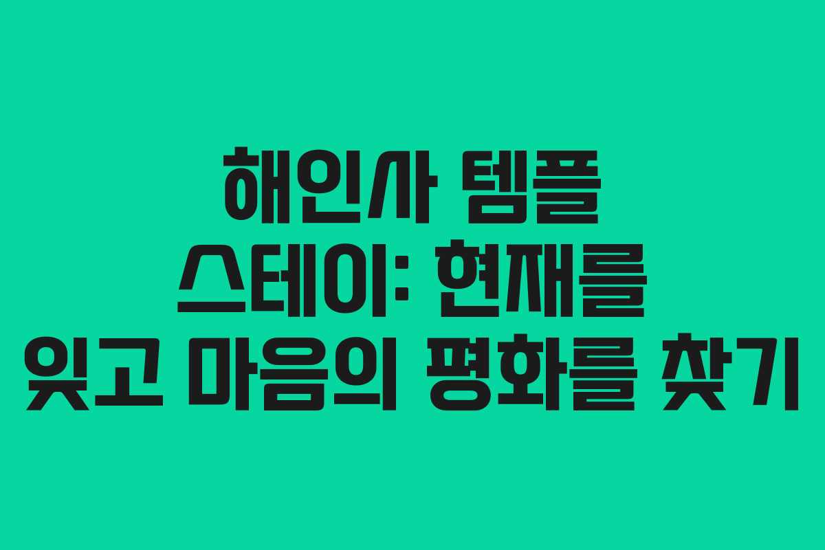 해인사 템플 스테이: 현재를 잊고 마음의 평화를 찾기