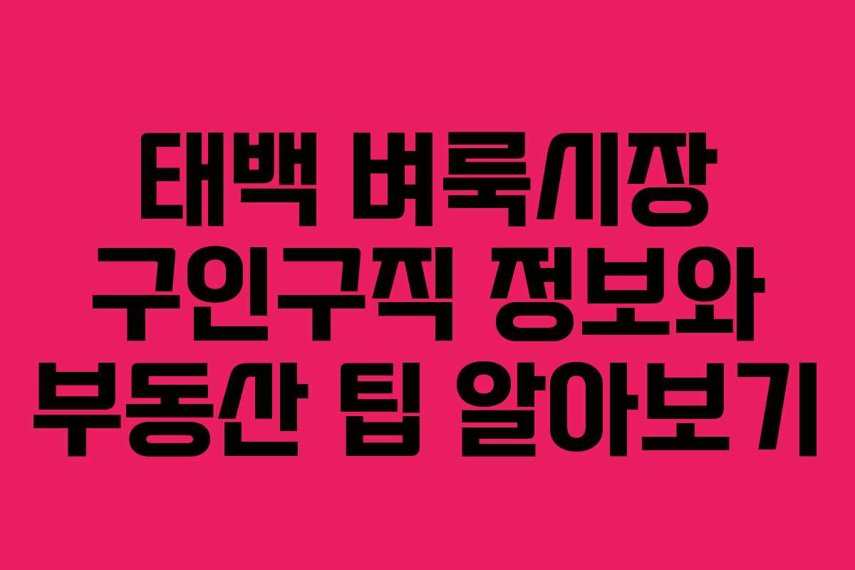 태백 벼룩시장 구인구직 정보와 부동산 팁 알아보기