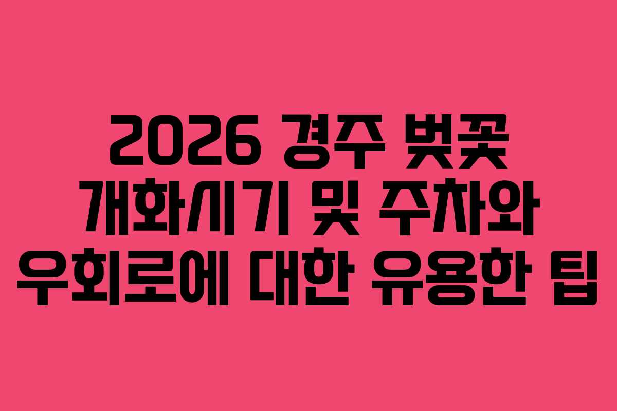 2026 경주 벚꽃 개화시기 및 주차와 우회로에 대한 유용한 팁