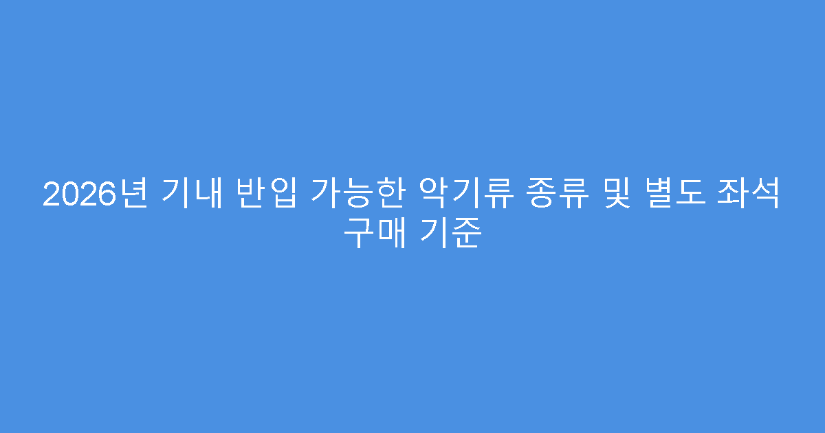2026년 기내 반입 가능한 악기류 종류 및 별도 좌석 구매 기준