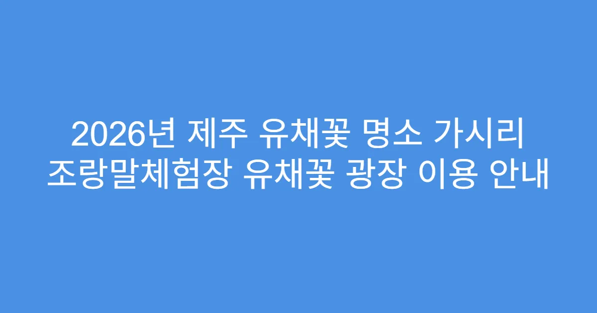 2026년 제주 유채꽃 명소 가시리 조랑말체험장 유채꽃 광장 이용 안내