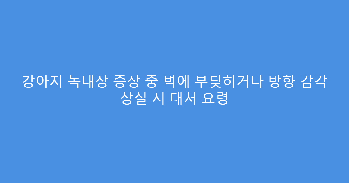 강아지 녹내장 증상 중 벽에 부딪히거나 방향 감각 상실 시 대처 요령