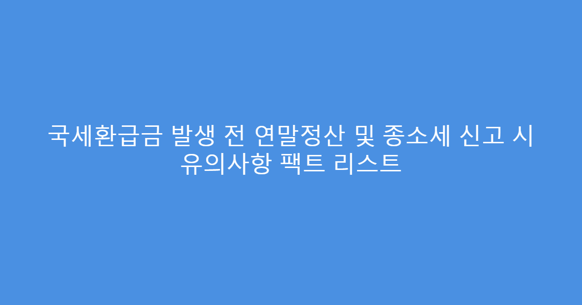 국세환급금 발생 전 연말정산 및 종소세 신고 시 유의사항 팩트 리스트