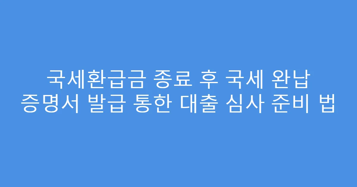 국세환급금 종료 후 국세 완납 증명서 발급 통한 대출 심사 준비 법