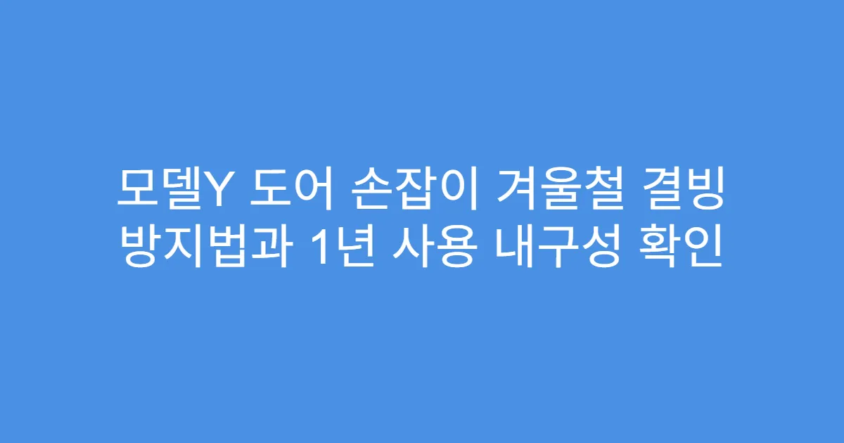 모델Y 도어 손잡이 겨울철 결빙 방지법과 1년 사용 내구성 확인
