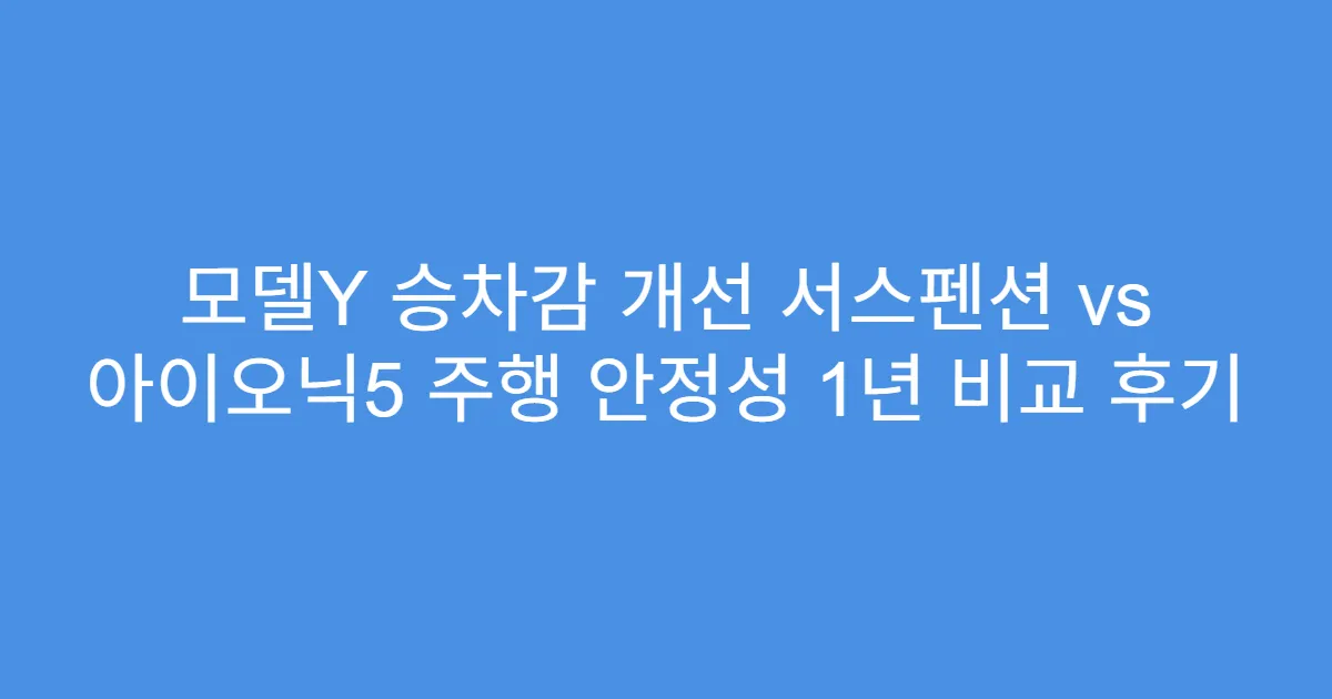 모델Y 승차감 개선 서스펜션 vs 아이오닉5 주행 안정성 1년 비교 후기