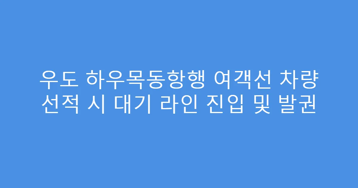 우도 하우목동항행 여객선 차량 선적 시 대기 라인 진입 및 발권