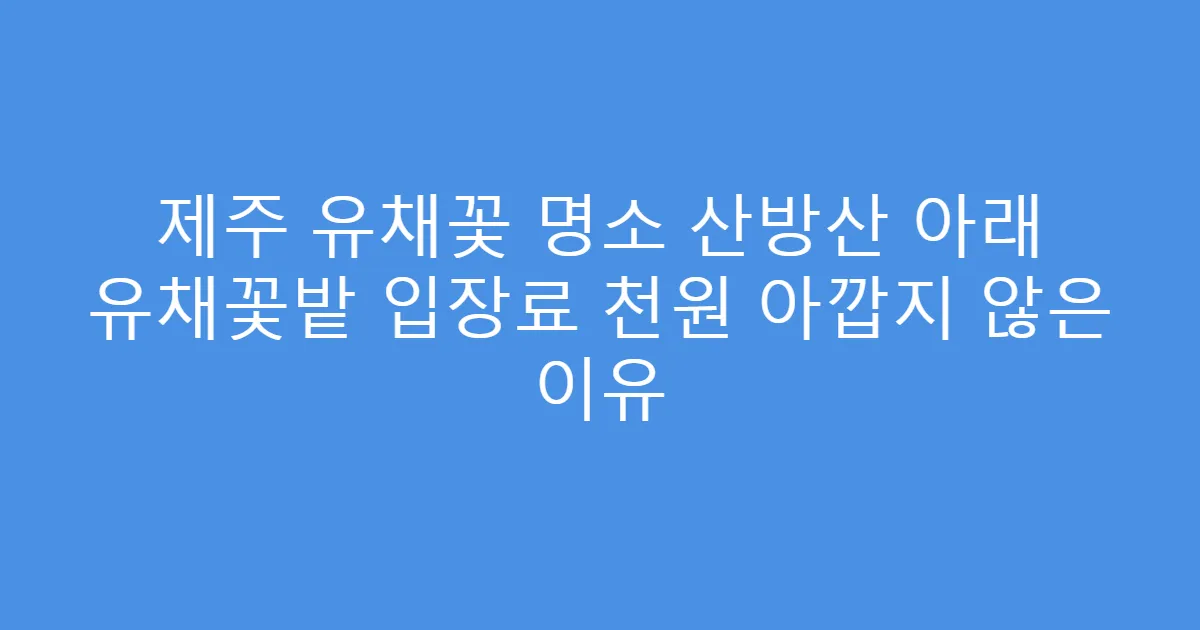 제주 유채꽃 명소 산방산 아래 유채꽃밭 입장료 천원 아깝지 않은 이유