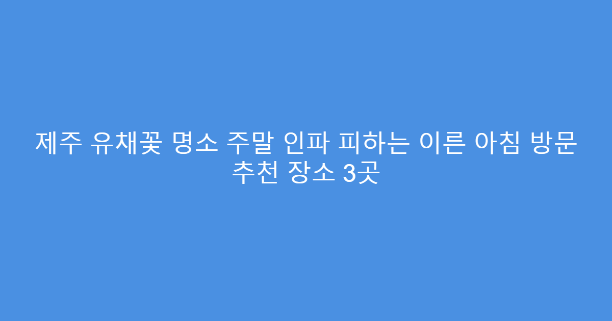 제주 유채꽃 명소 주말 인파 피하는 이른 아침 방문 추천 장소 3곳