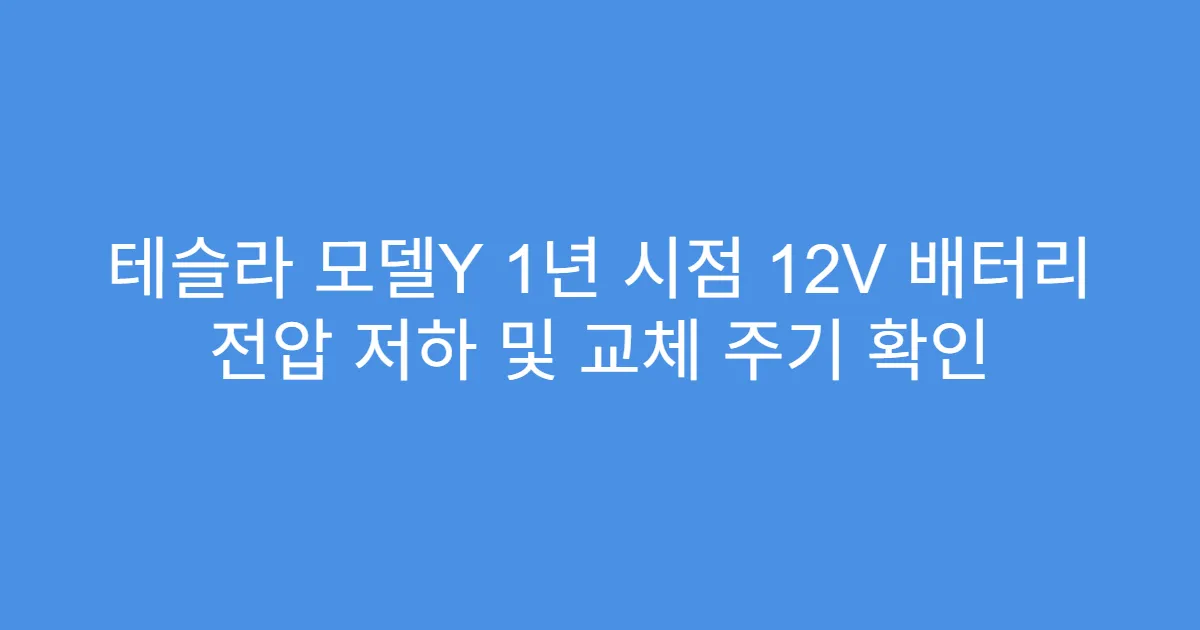 테슬라 모델Y 1년 시점 12V 배터리 전압 저하 및 교체 주기 확인
