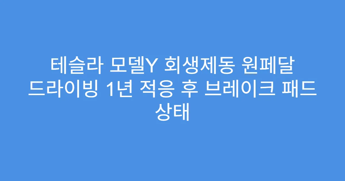 테슬라 모델Y 회생제동 원페달 드라이빙 1년 적응 후 브레이크 패드 상태