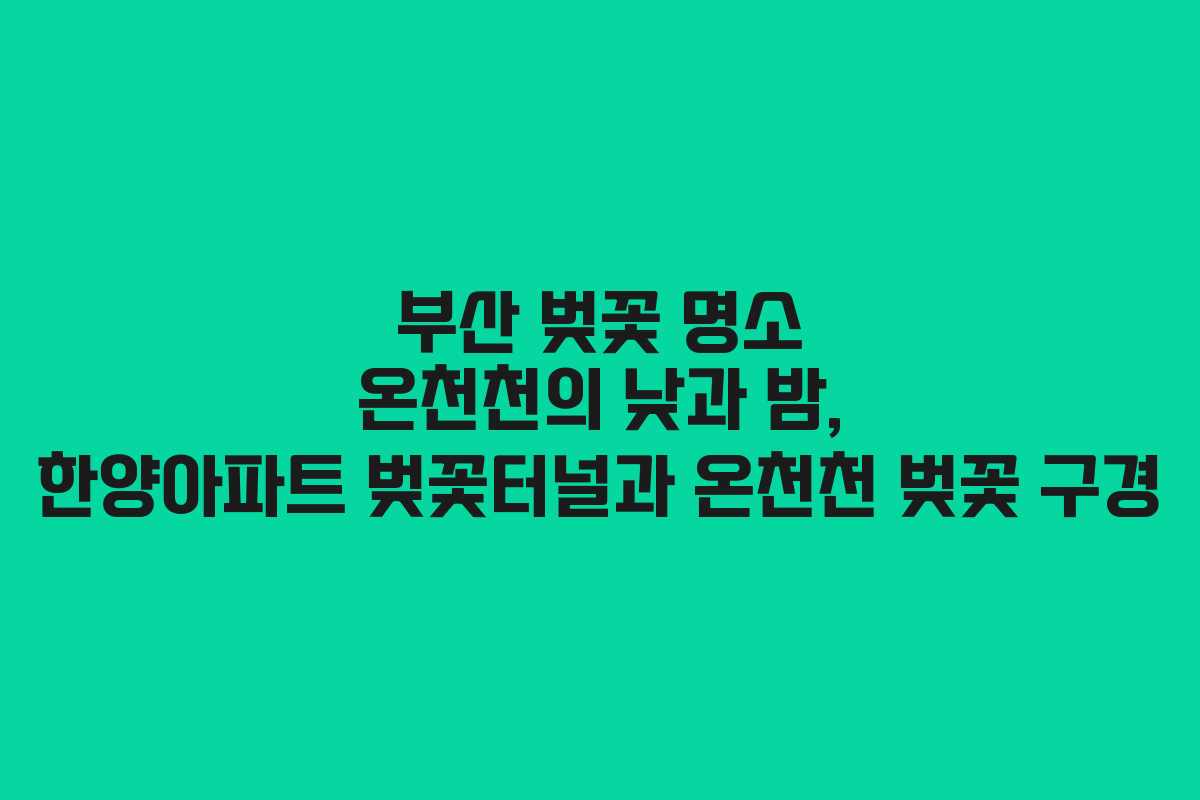부산-벚꽃-명소-온천천의-낮과-밤,-한양아파트-벚꽃터널과-온천천-벚꽃-구경