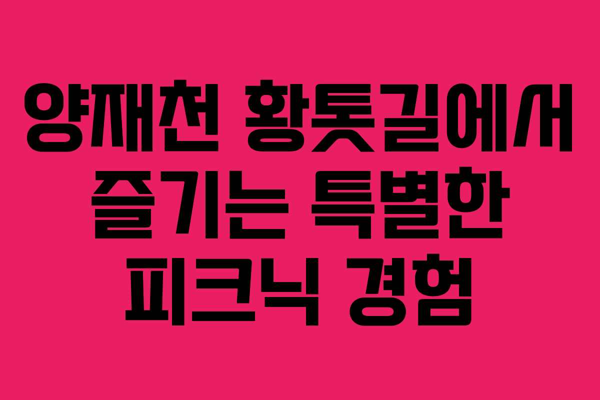 양재천-황톳길에서-즐기는-특별한-피크닉-경험