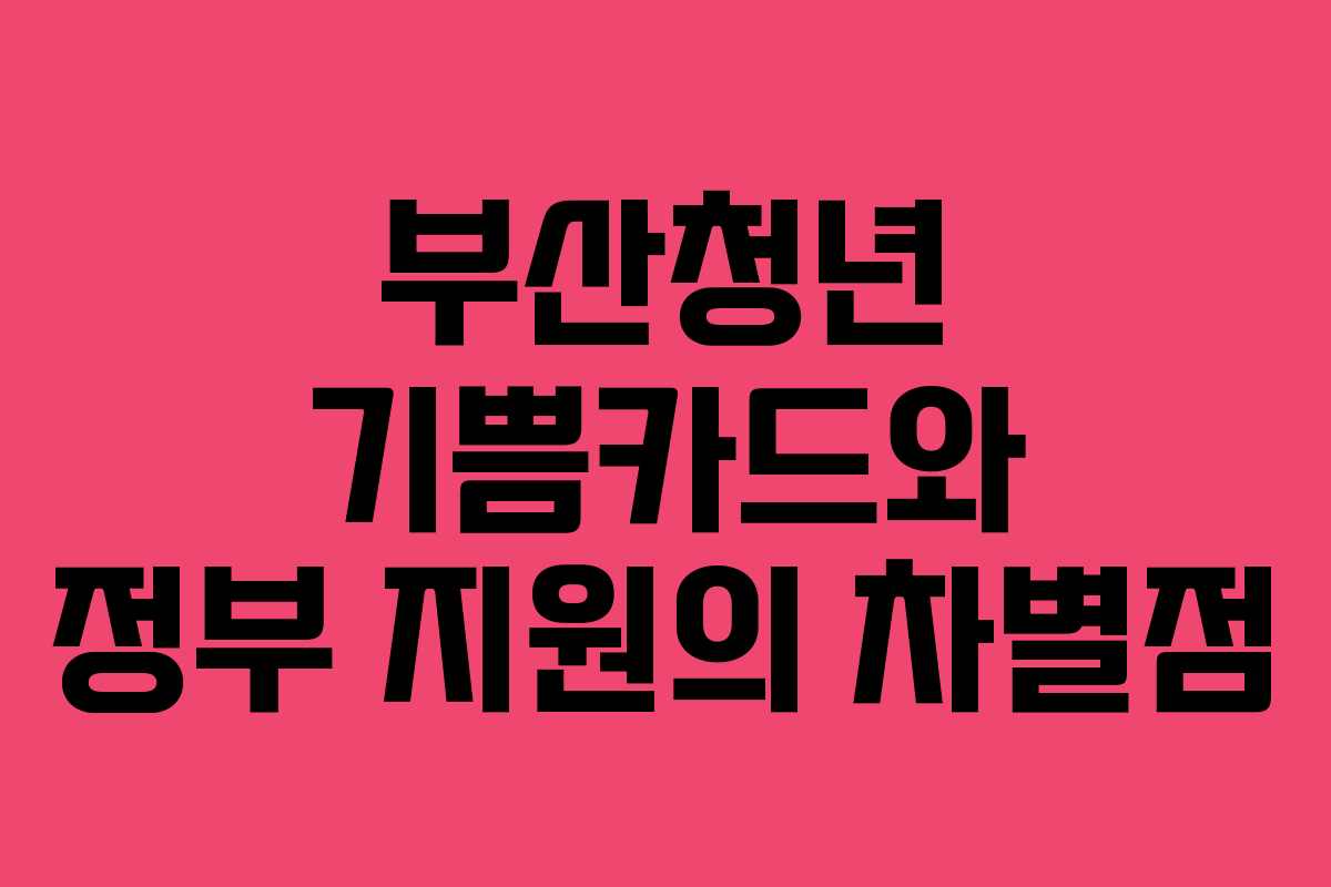 부산청년 기쁨카드와 정부 지원의 차별점