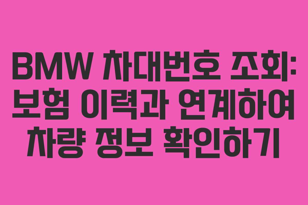 BMW 차대번호 조회: 보험 이력과 연계하여 차량 정보 확인하기