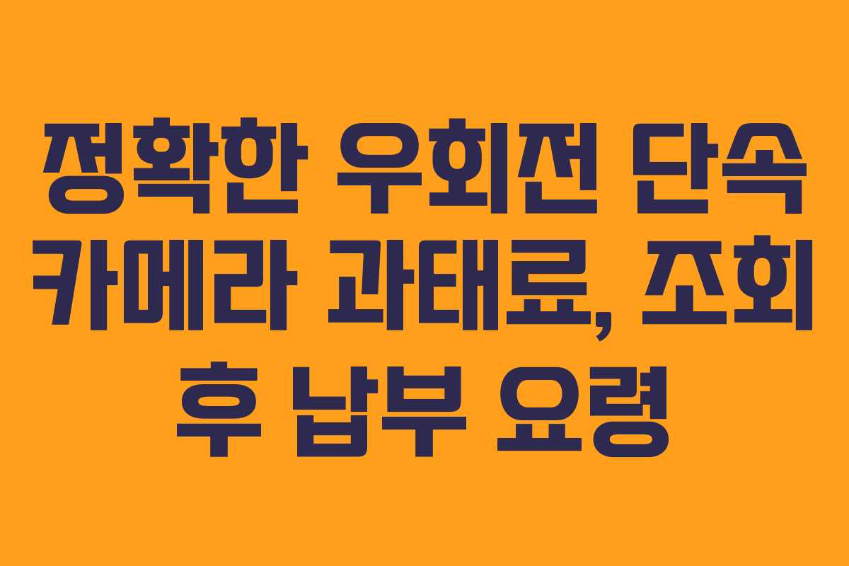 정확한 우회전 단속 카메라 과태료, 조회 후 납부 요령