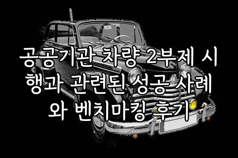 공공기관 차량 2부제 시행과 관련된 성공 사례와 벤치마킹 후기
