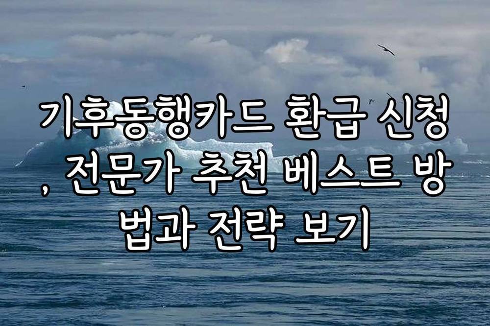 기후동행카드 환급 신청, 전문가 추천 베스트 방법과 전략 보기