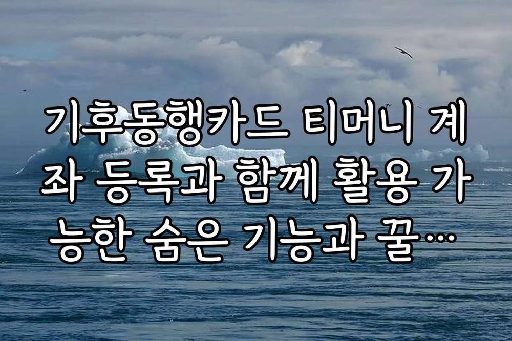 기후동행카드 티머니 계좌 등록과 함께 활용 가능한 숨은 기능과 꿀팁을 공개합니다
