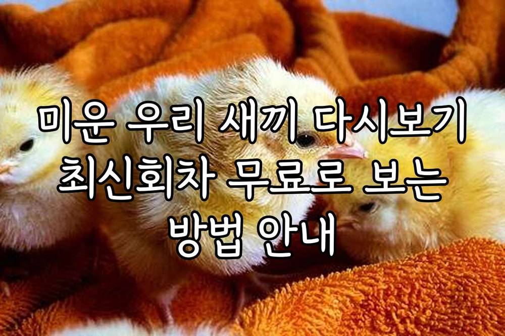 미운 우리 새끼 다시보기 최신회차 무료로 보는 방법 안내