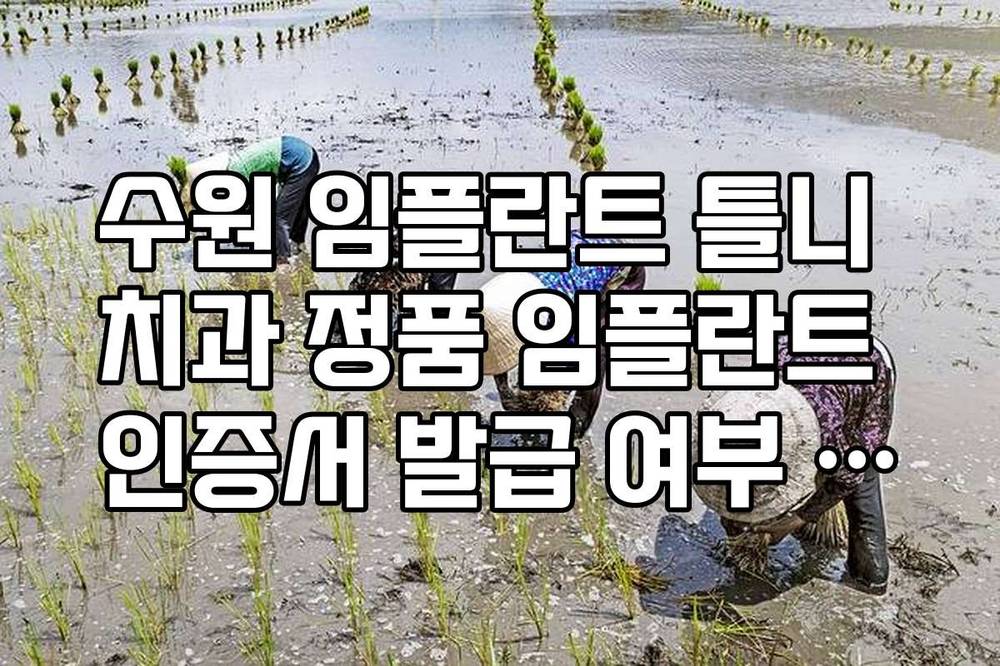수원 임플란트 틀니 치과 정품 임플란트 인증서 발급 여부 확인 방법