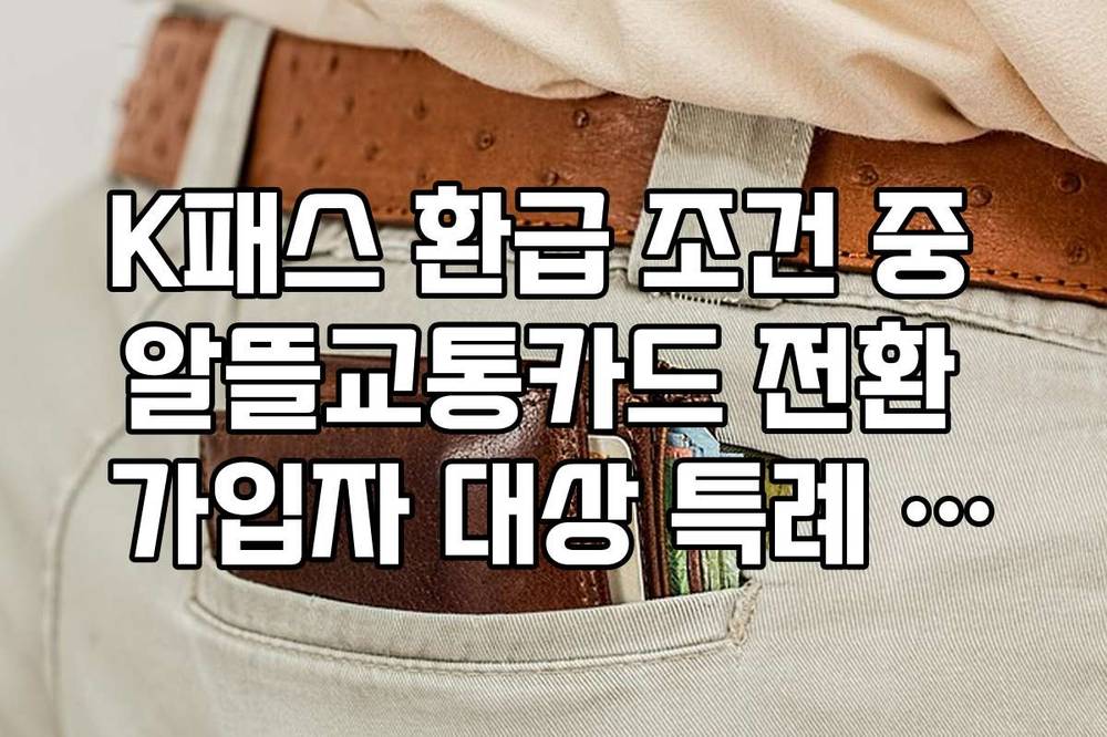 K패스 환급 조건 중 알뜰교통카드 전환 가입자 대상 특례 적용 확인법