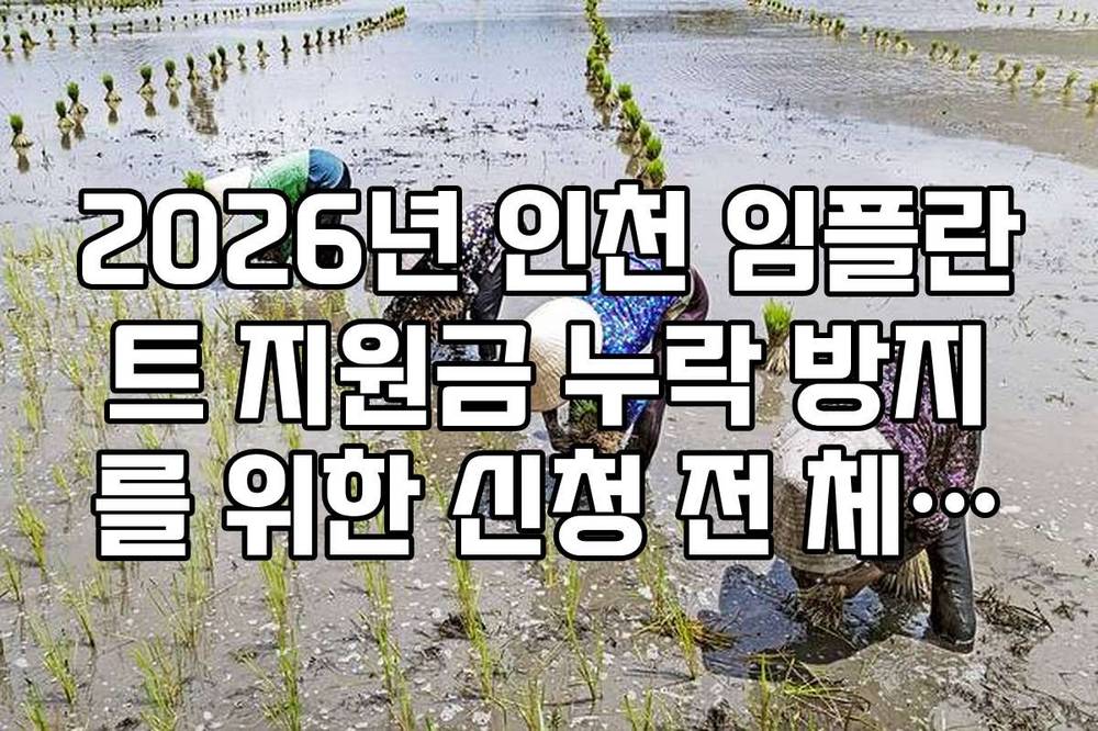 2026년 인천 임플란트 지원금 누락 방지를 위한 신청 전 체크리스트