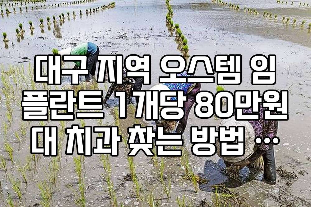 대구 지역 오스템 임플란트 1개당 80만원대 치과 찾는 방법 정리