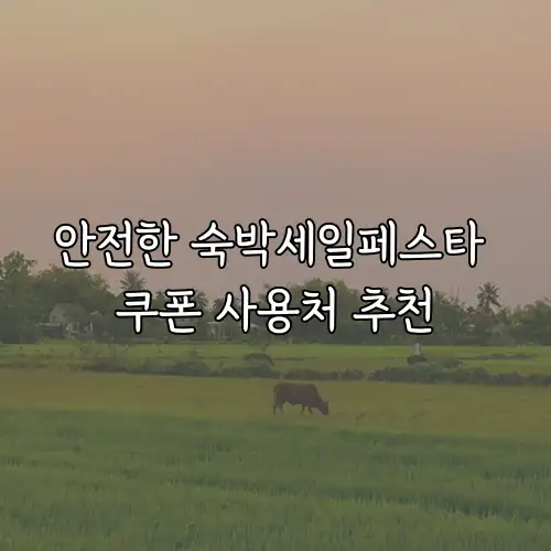 안전한 숙박세일페스타 쿠폰 사용처 추천