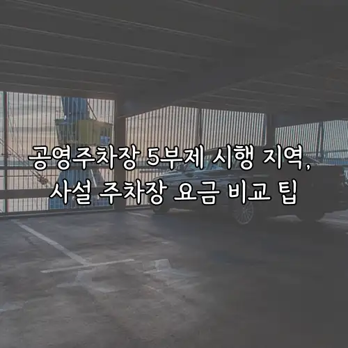 공영주차장 5부제 시행 지역, 사설 주차장 요금 비교 팁