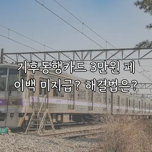 기후동행카드 3만원 페이백 미지급? 해결법은?