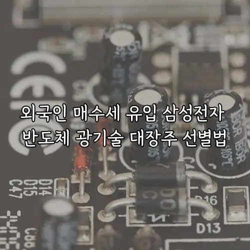 외국인 매수세 유입 삼성전자 반도체 광기술 대장주 선별법