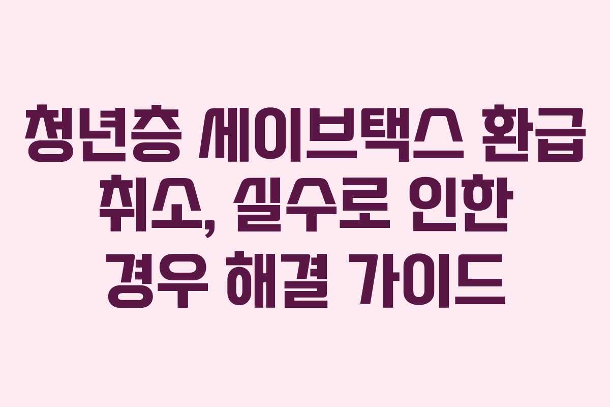 청년층-세이브택스-환급-취소,-실수로-인한-경우-해결-가이드