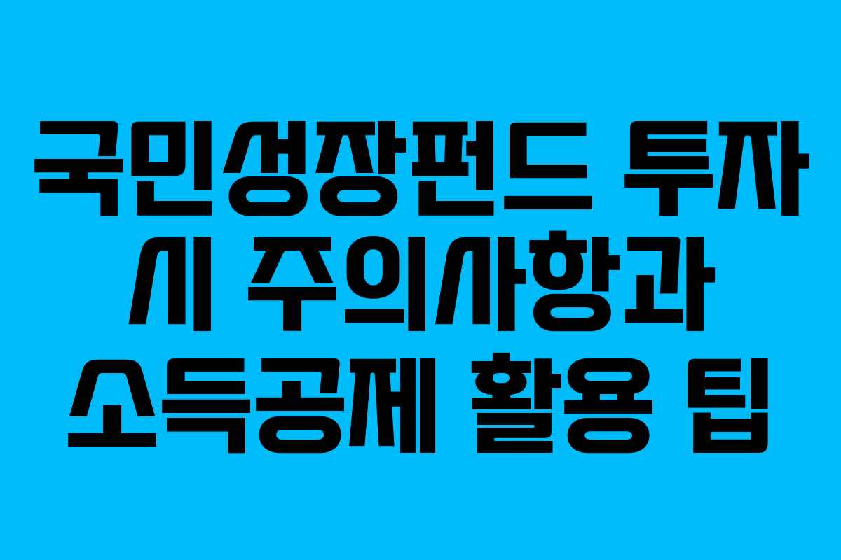 국민성장펀드-투자-시-주의사항과-소득공제-활용-팁