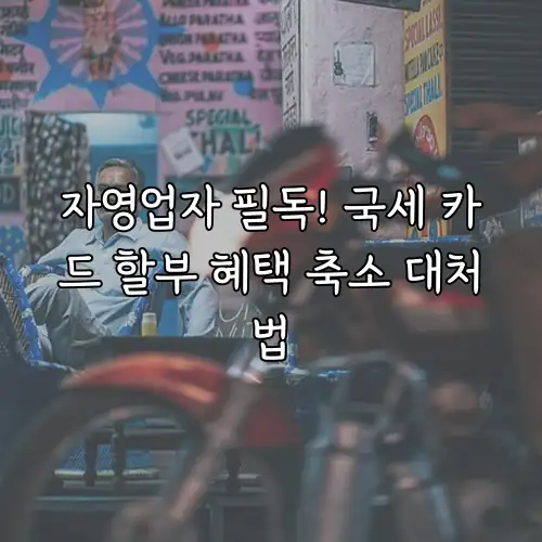 자영업자 필독! 국세 카드 할부 혜택 축소 대처법