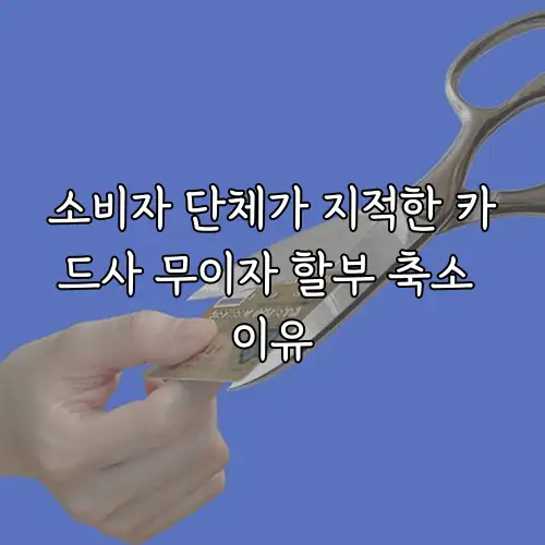 소비자 단체가 지적한 카드사 무이자 할부 축소 이유