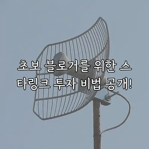 초보 블로거를 위한 스타링크 투자 비법 공개!