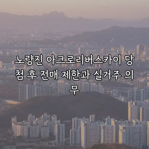노량진 아크로리버스카이 당첨 후 전매 제한과 실거주 의무