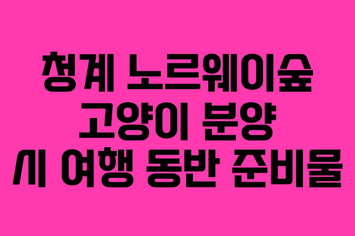 청계-노르웨이숲-고양이-분양-시-여행-동반-준비물