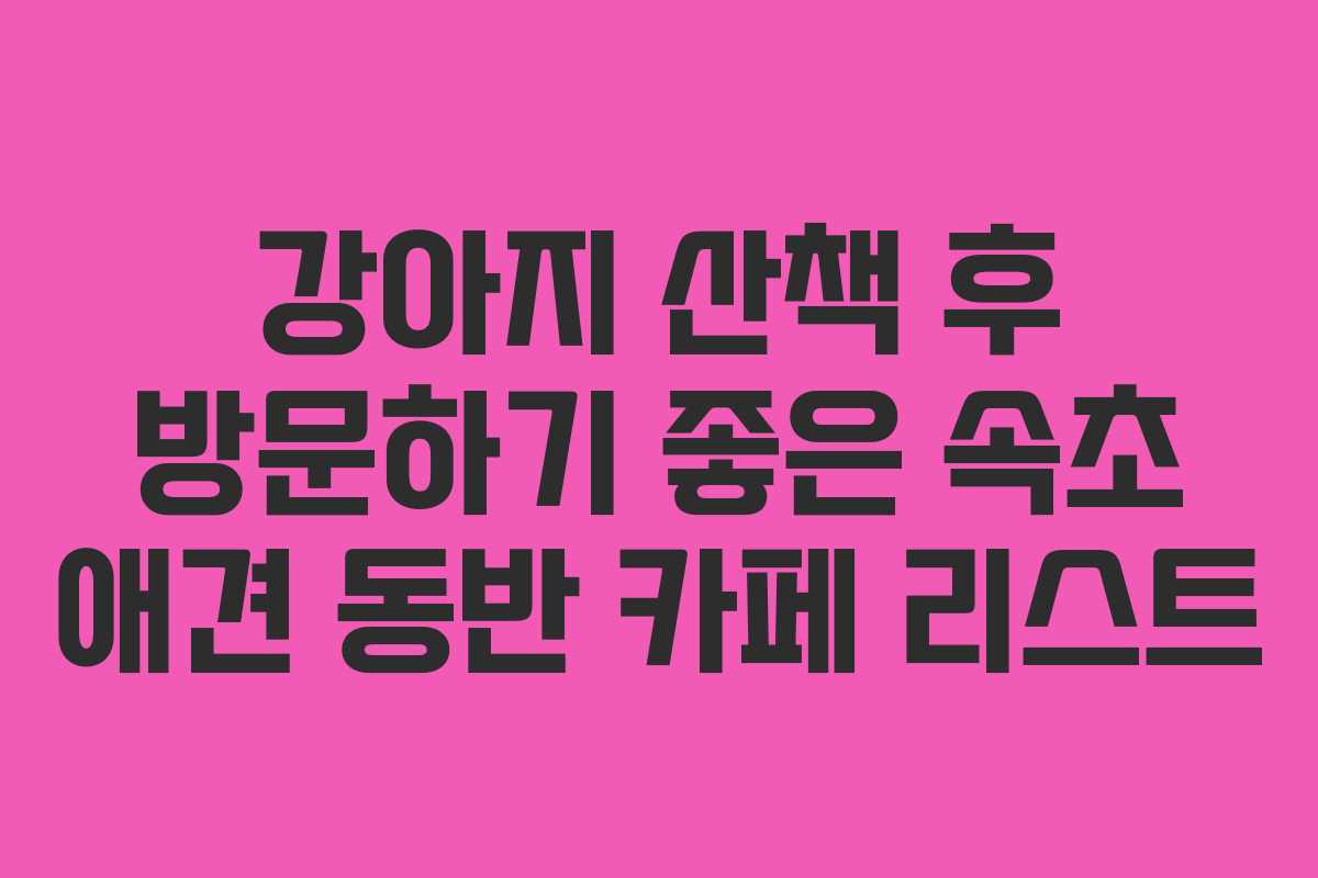 강아지-산책-후-방문하기-좋은-속초-애견-동반-카페-리스트