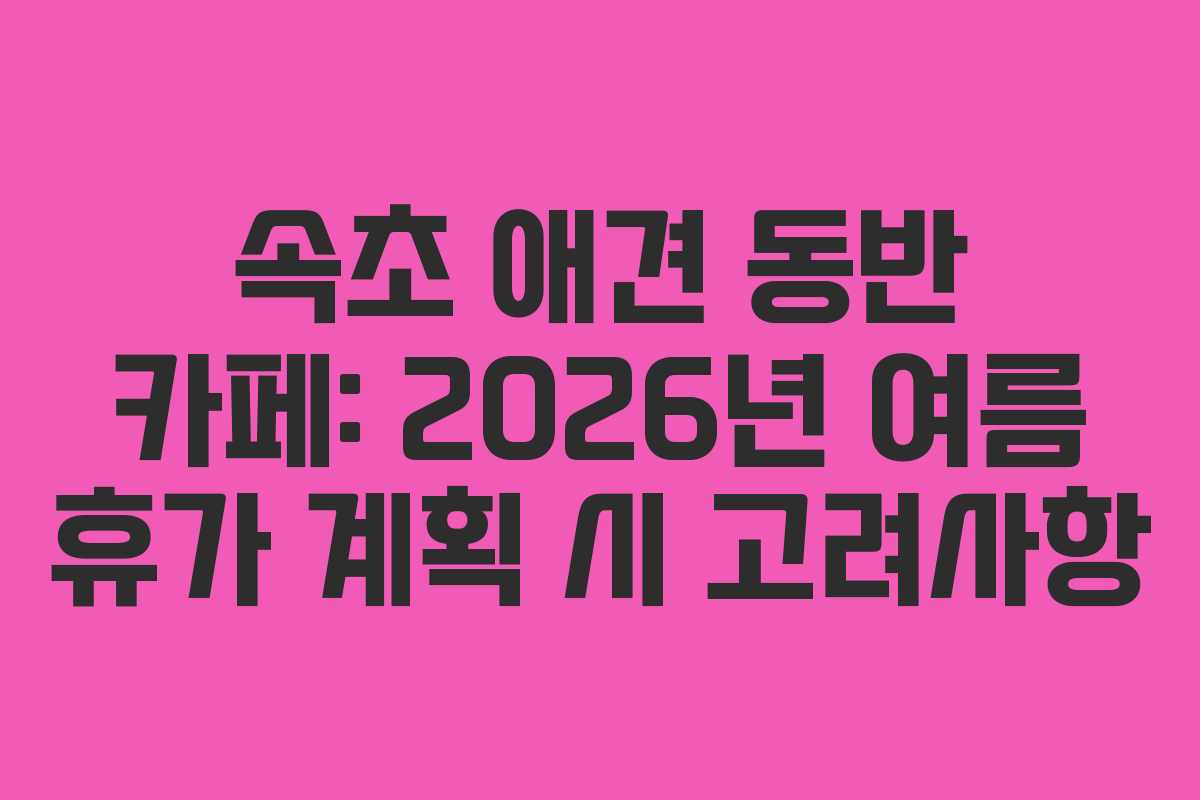 속초-애견-동반-카페-2026년-여름-휴가-계획-시-고려사항
