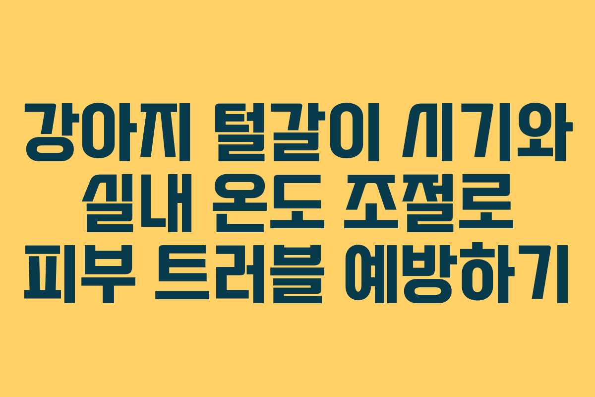 강아지-털갈이-시기와-실내-온도-조절로-피부-트러블-예방하기